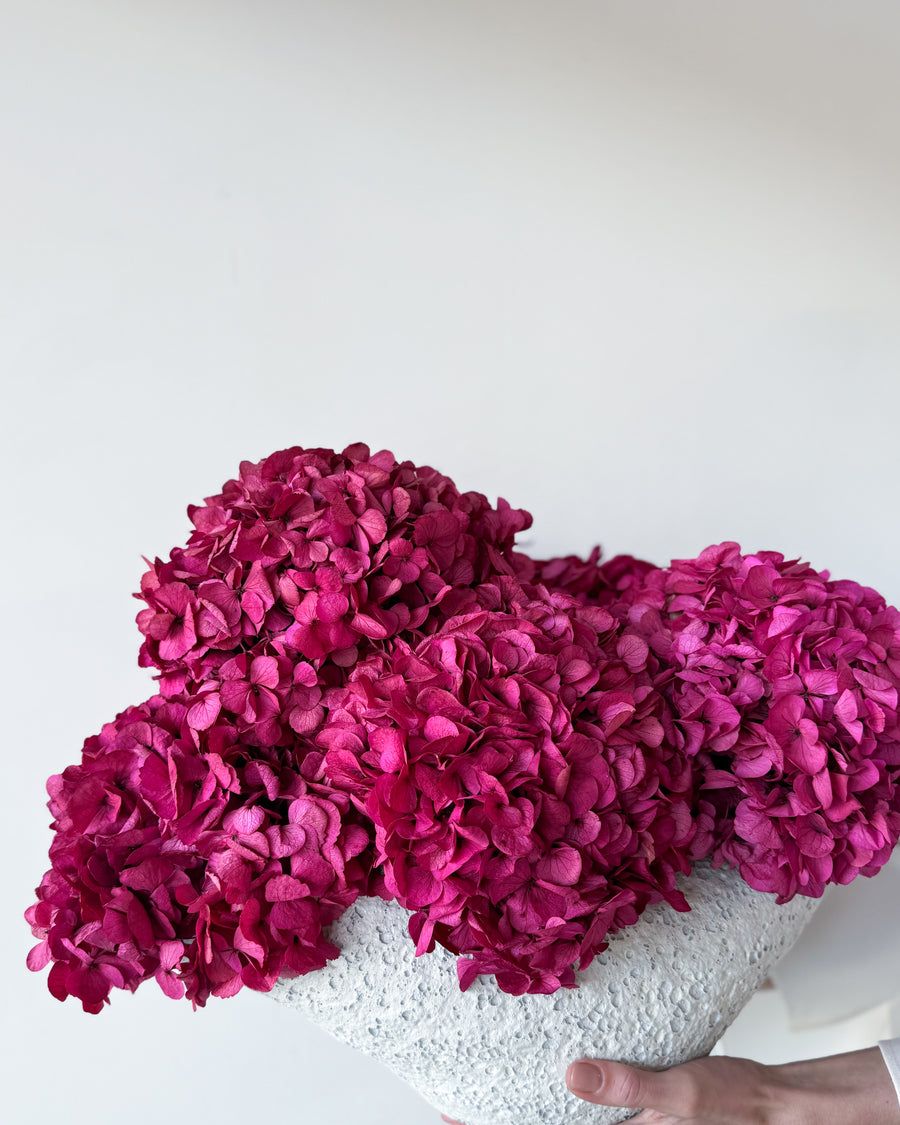 CHARLOTTE FUCHSIA PRESERVED HYDRANGEAS IN SALT CRUST COSSE VASE
