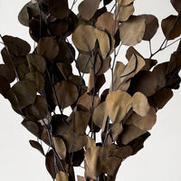 PRESERVED POLYGUM FOLIAGE | NATURAL
