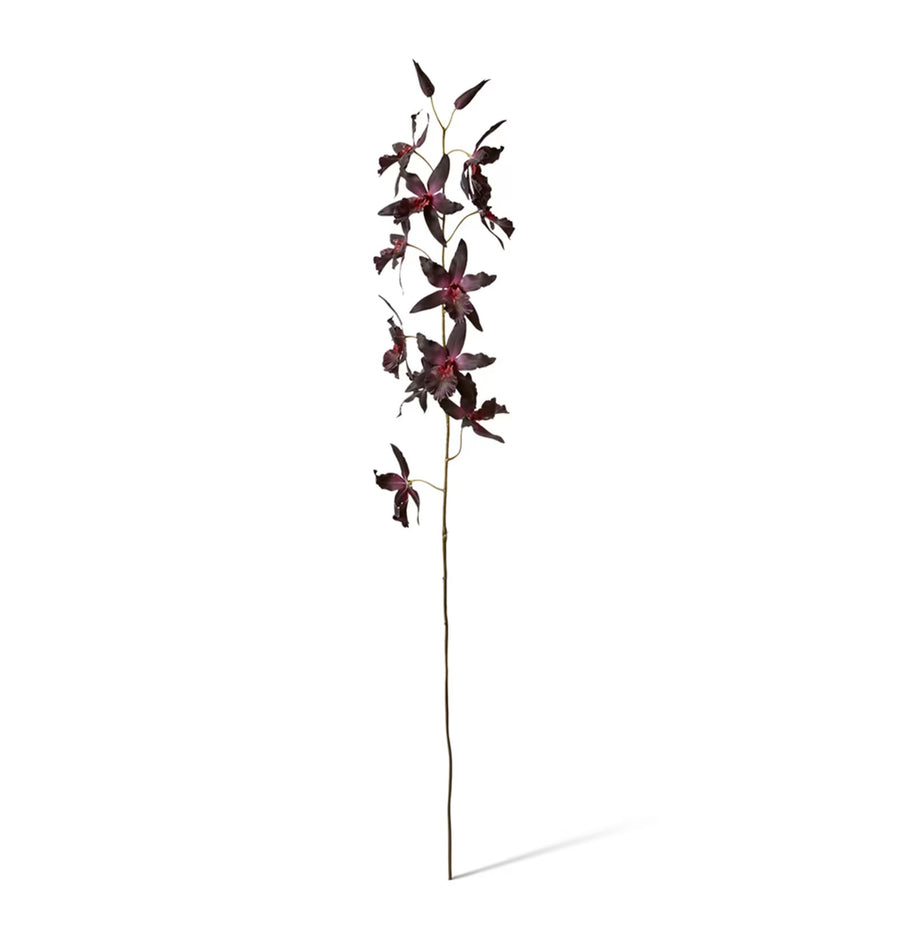 ORCHID ONCIDIUM STEM | DEEP PURPLE | SOFT-TOUCH