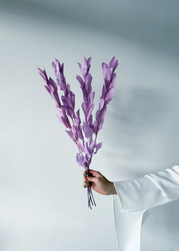 ISRAEILI RUSCUS | LAVENDER