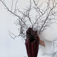 THE HORUS VASE | BURGUNDY MEDIUM