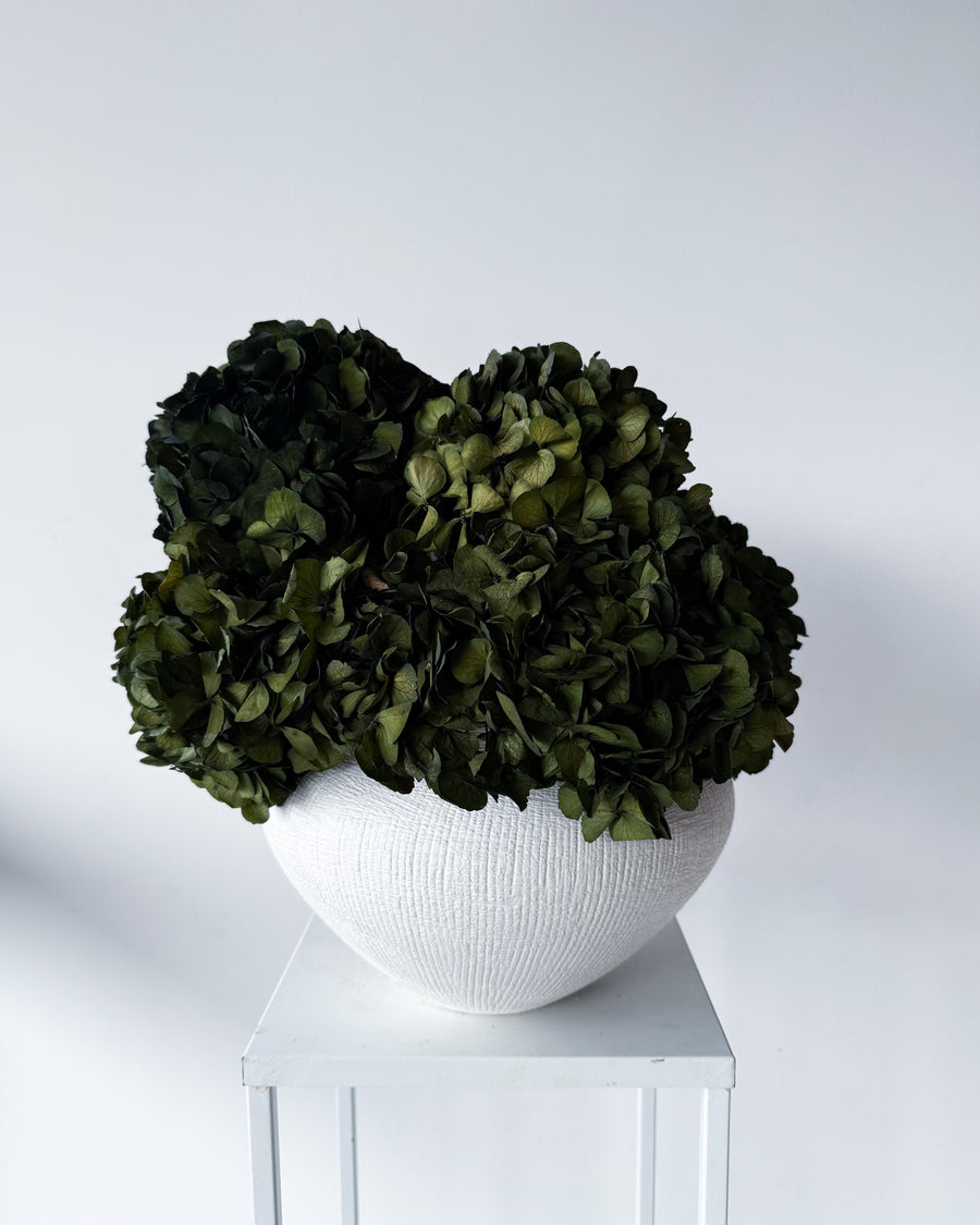 CHARLOTTE | OLIVE-GREEN PRESERVED HYDRANGEAS IN THEO VASE
