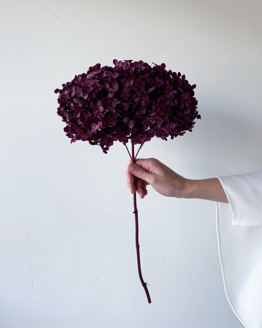 PRESERVED HYDRANGEA STEM I BURGUNDY I SMALL-LEAF