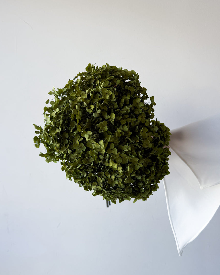 PRESERVED HYDRANGEA STEM | LIME GREEN | SMALL-LEAF