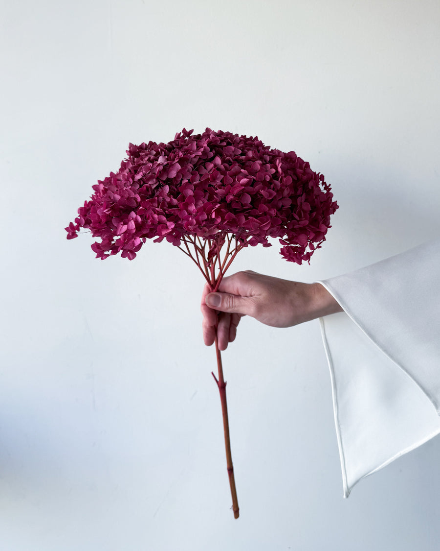 PRESERVED HYDRANGEA STEM I DEEP FUCHSIA I SMALL-LEAF