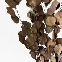 PRESERVED POLYGUM FOLIAGE | NATURAL