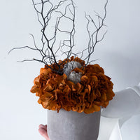 THE MAHA | LARGE-LEAF BURNT ORANGE
