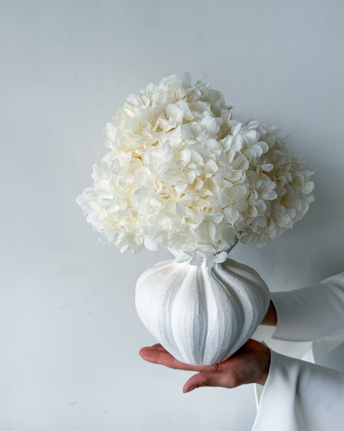 AURELIA PRESERVED WHITE HYDRANGEA IN WHITE VASE
