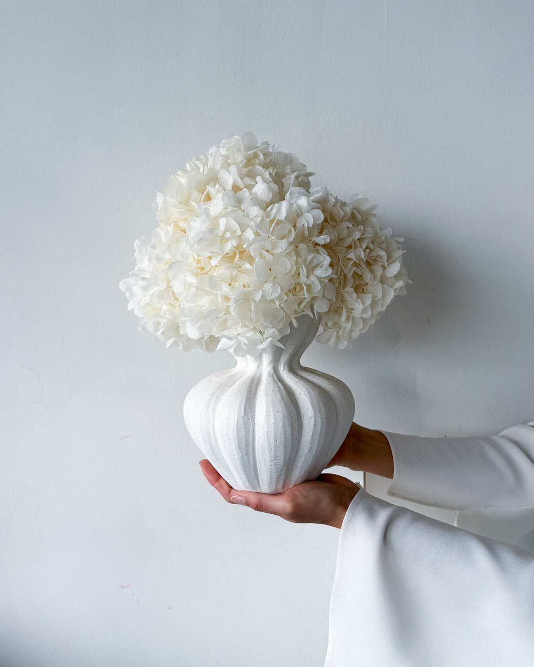 AURELIA PRESERVED WHITE HYDRANGEA IN WHITE VASE