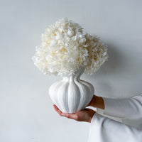 AURELIA PRESERVED WHITE HYDRANGEA IN WHITE VASE