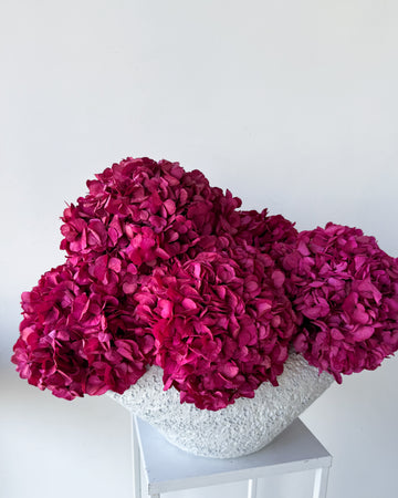 CHARLOTTE FUCHSIA PRESERVED HYDRANGEAS IN SALT CRUST COSSE VASE