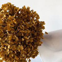 PRESERVED HYDRANGEA STEM | NATURAL | SMALL-LEAF