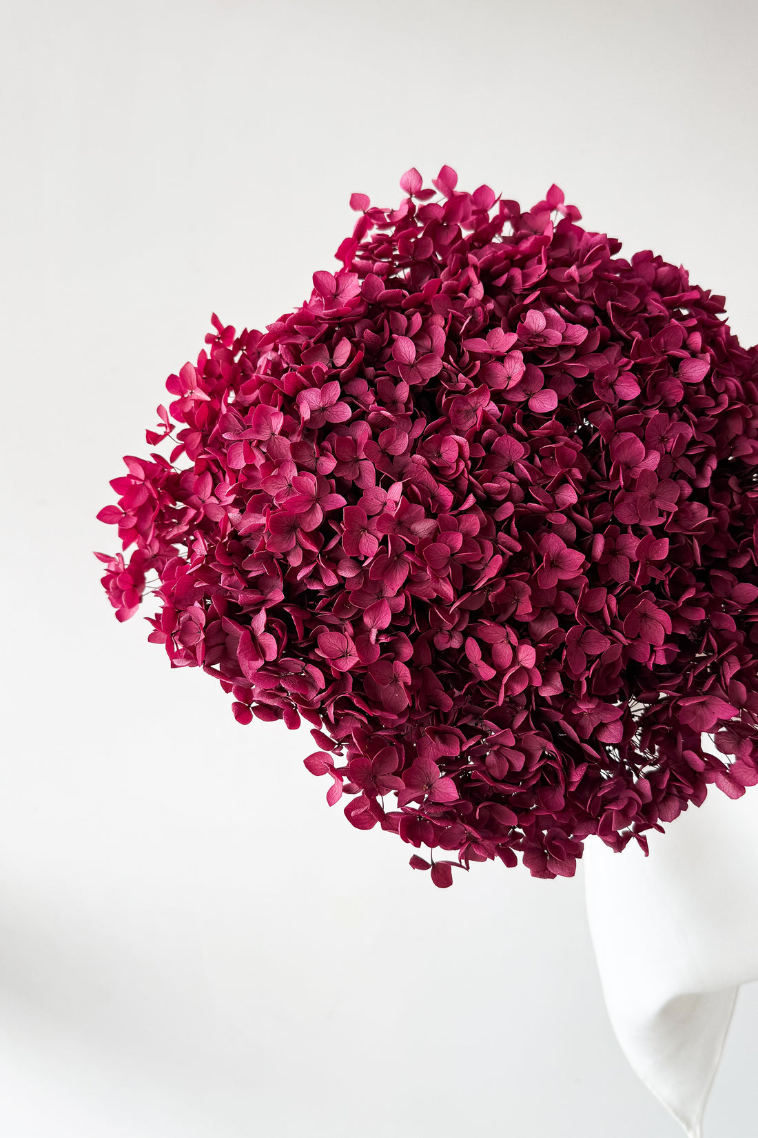 PRESERVED HYDRANGEA STEM I DEEP FUCHSIA I SMALL-LEAF