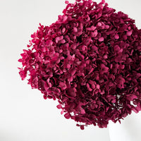 PRESERVED HYDRANGEA STEM I DEEP FUCHSIA I SMALL-LEAF