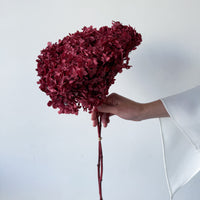 PRESERVED HYDRANGEA STEM | WINE RED | SMALL-LEAF
