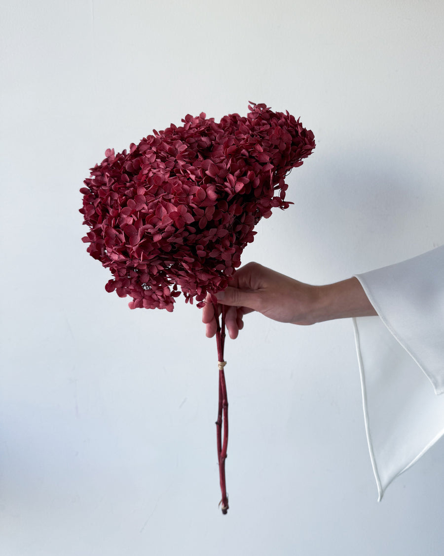 PRESERVED HYDRANGEA STEM | WINE RED | SMALL-LEAF