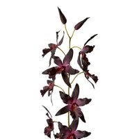 ORCHID ONCIDIUM STEM | DEEP PURPLE | SOFT-TOUCH