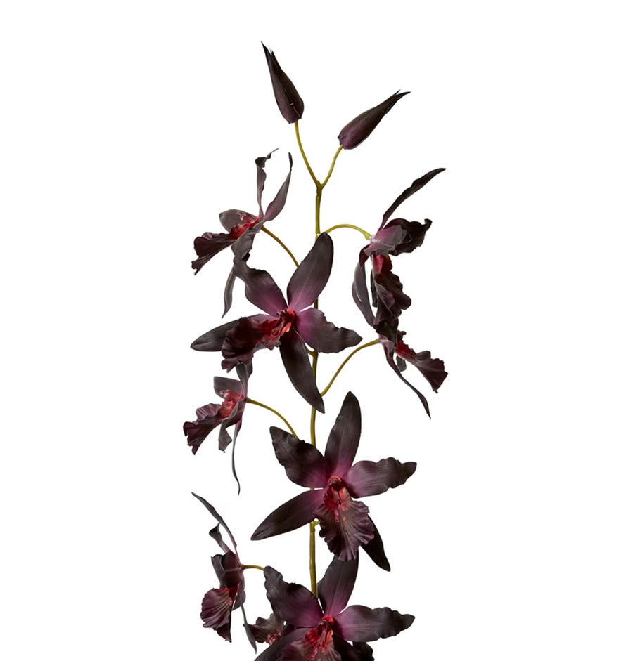 ORCHID ONCIDIUM STEM | DEEP PURPLE | SOFT-TOUCH