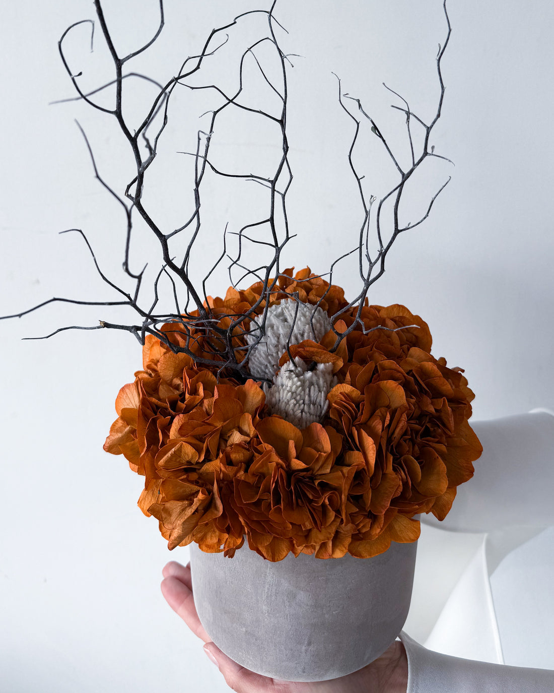 THE MAHA | LARGE-LEAF BURNT ORANGE