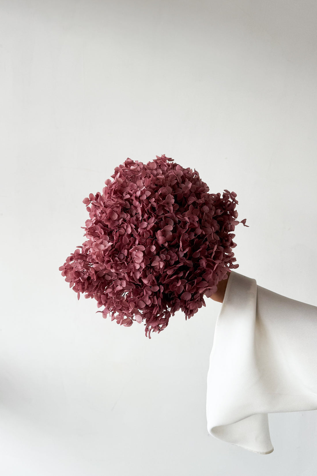 PRESERVED HYDRANGEA STEM I DEEP BLUSH | SMALL-LEAF