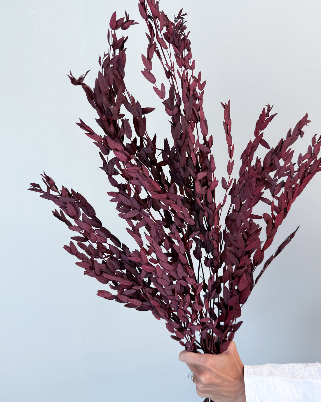 PRESERVED SMALL-LEAF GUM | MARONE