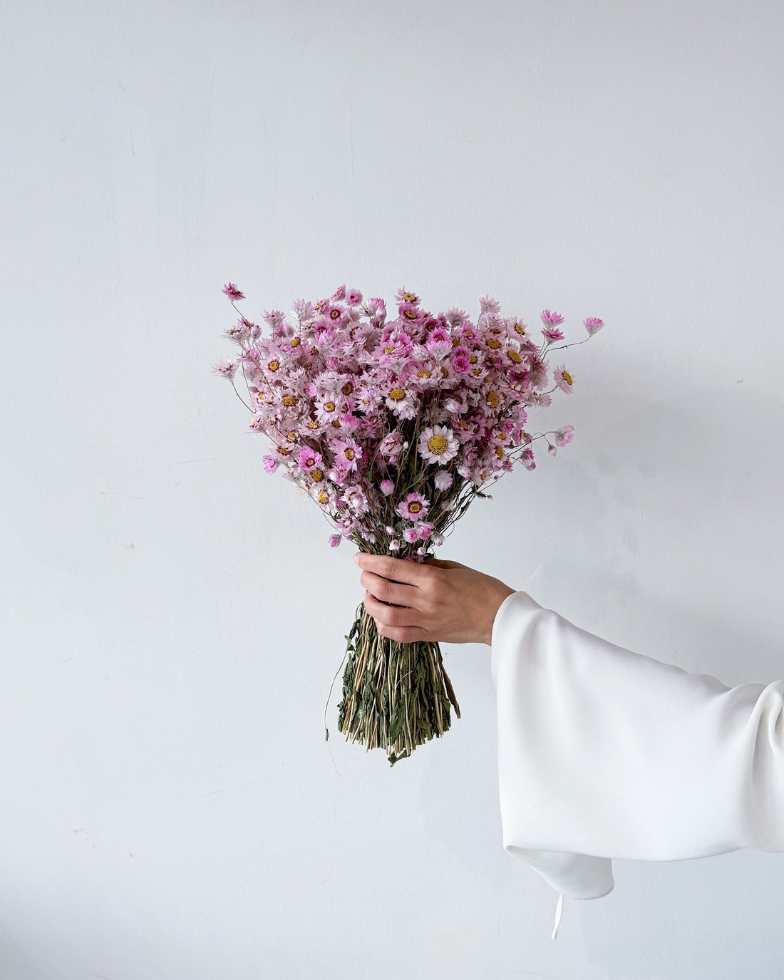 DRIED DAISIES BOUQUET | BLOSSOM