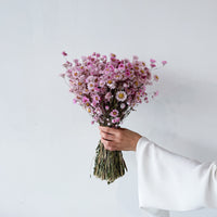 DRIED DAISIES BOUQUET | BLOSSOM