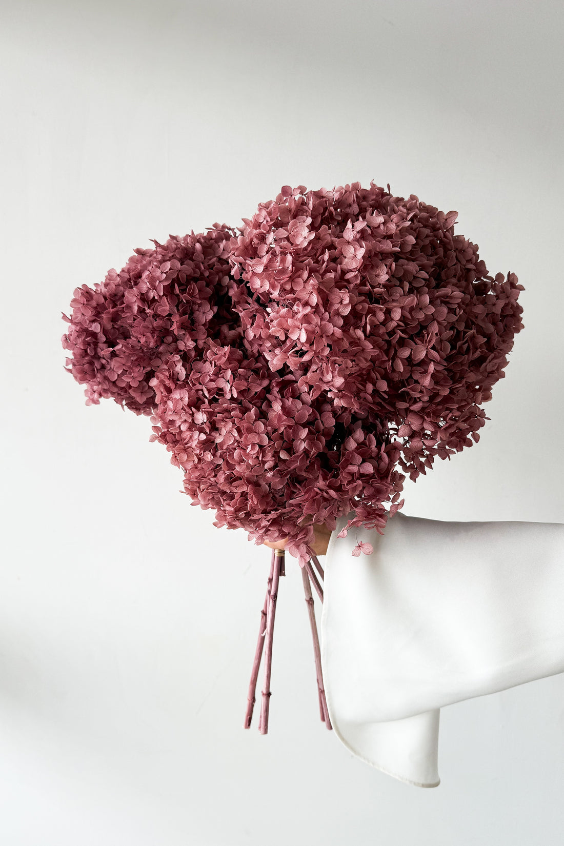 PRESERVED HYDRANGEA STEM I DEEP BLUSH | SMALL-LEAF