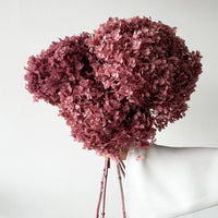 PRESERVED HYDRANGEA STEM I DEEP BLUSH | SMALL-LEAF