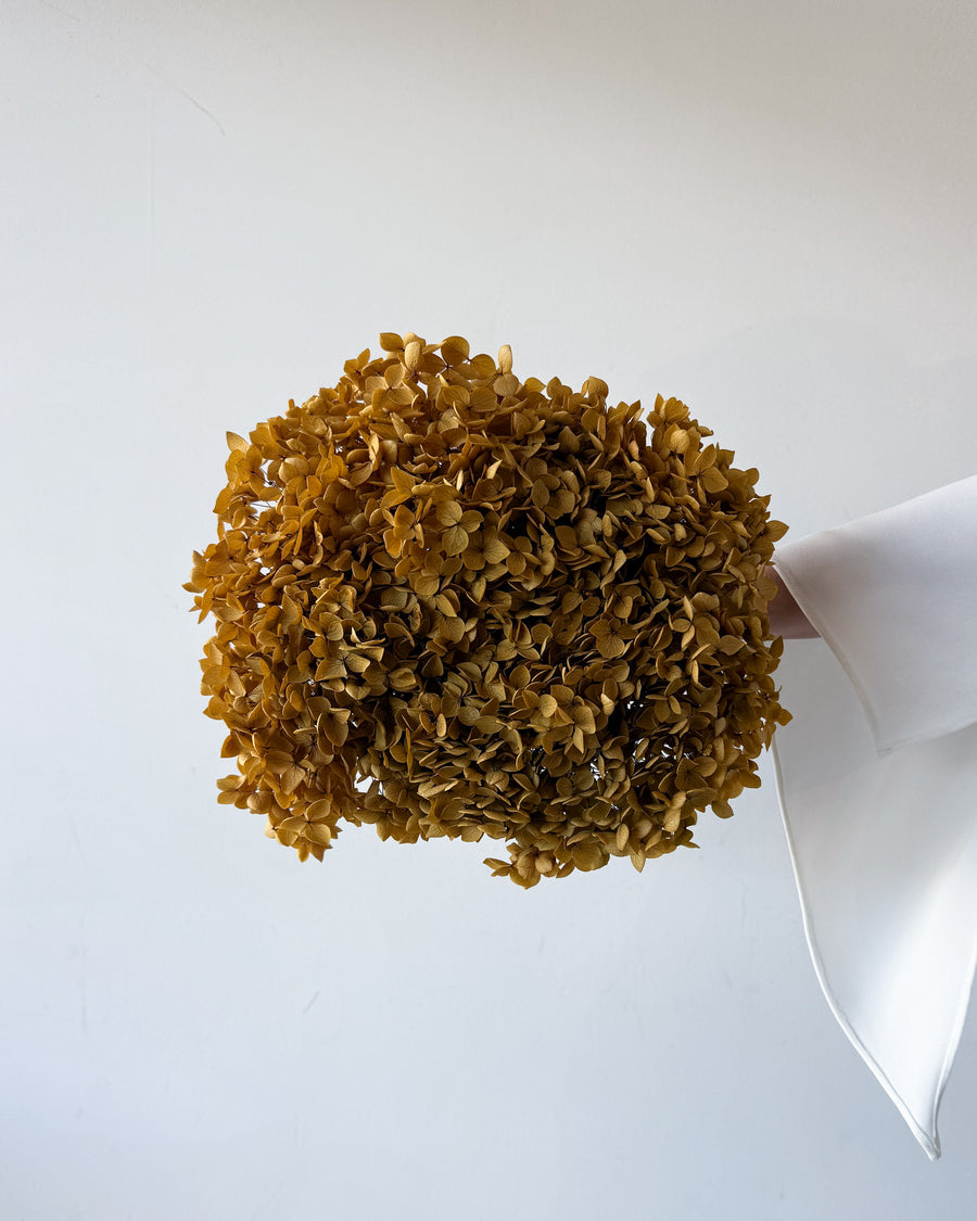 PRESERVED HYDRANGEA STEM | NATURAL | SMALL-LEAF