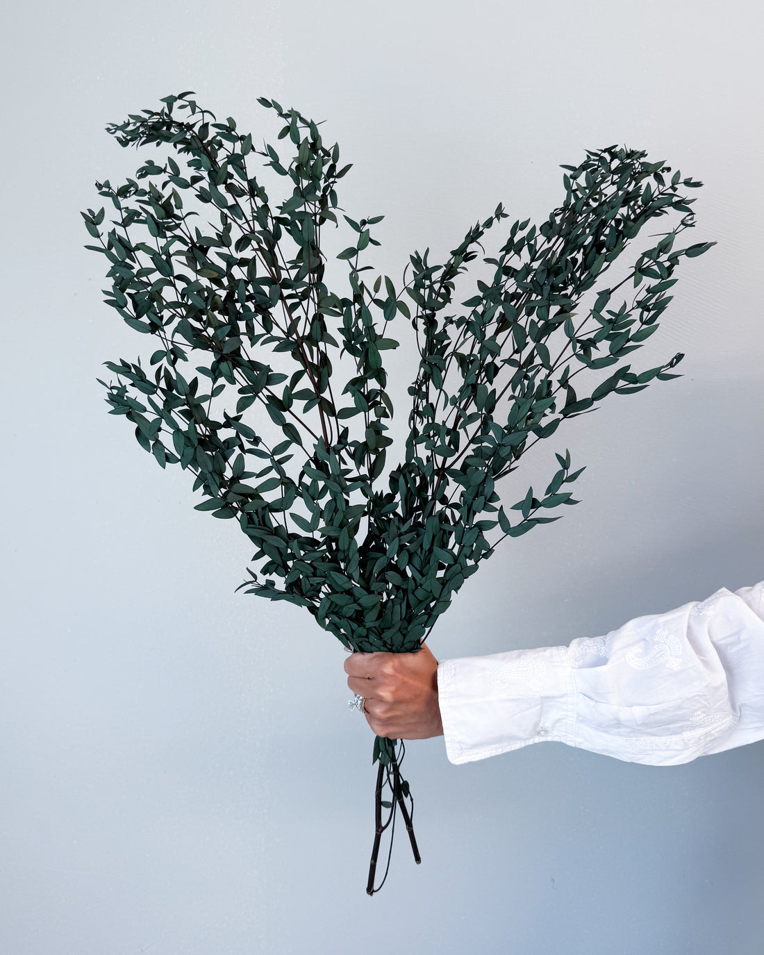 PRESERVED SMALL-LEAF GUM | DEEP SEA GREEN