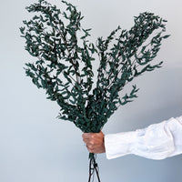 PRESERVED SMALL-LEAF GUM | DEEP SEA GREEN