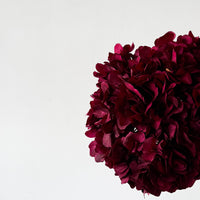PRESERVED HYDRANGEA STEM I RASPBERRY I LARGE-LEAF