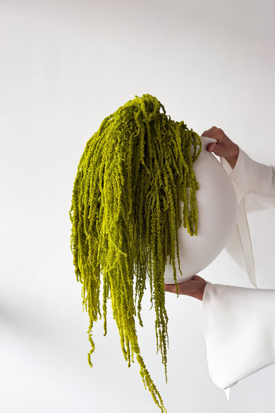 PRESERVED AMARANTHUS | LIGHT LIME GREEN