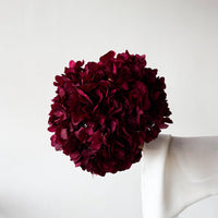 PRESERVED HYDRANGEA STEM I RASPBERRY I LARGE-LEAF