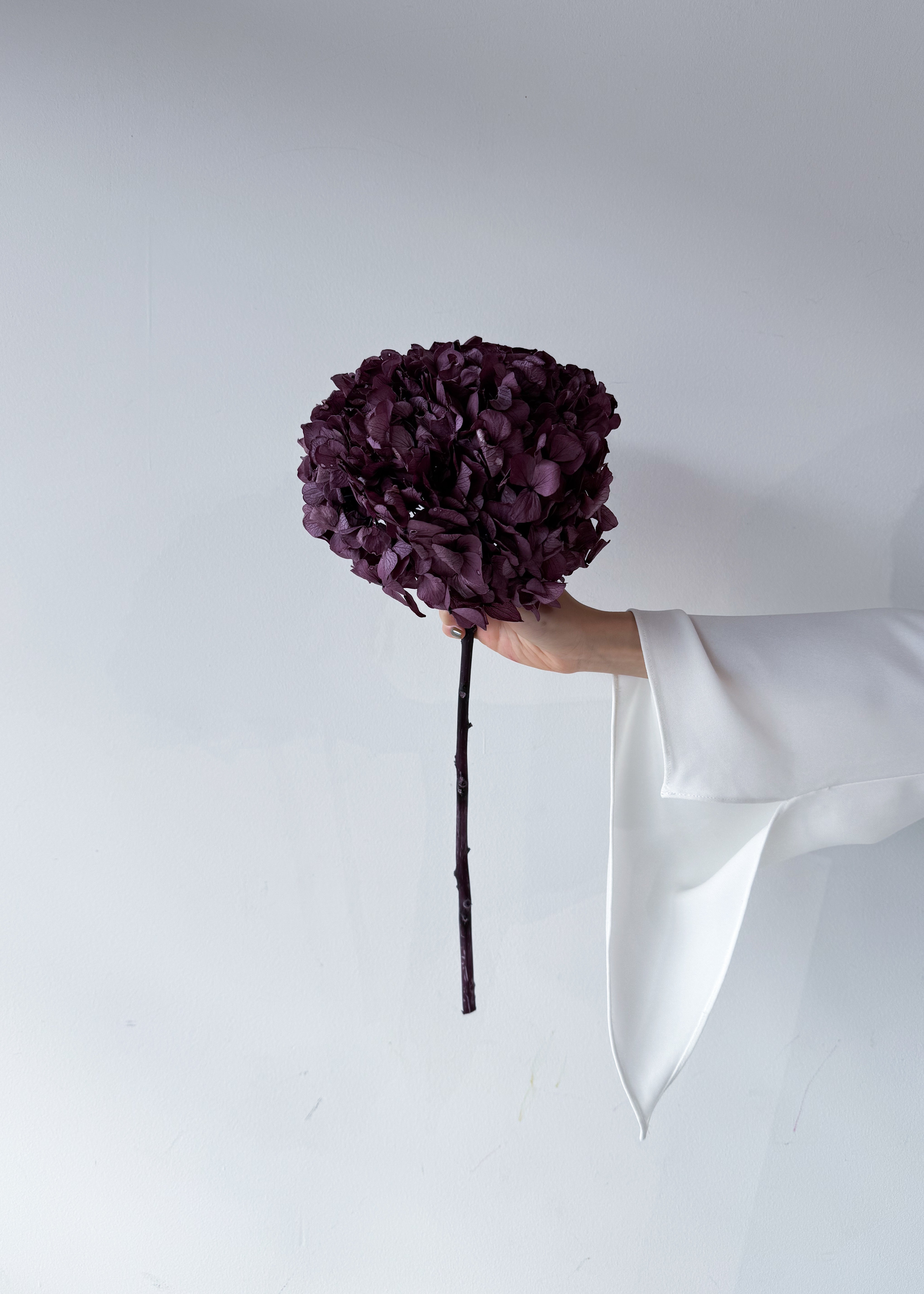 PRESERVED HYDRANGEA STEM I GRAPE I LARGE-LEAF – The Palmier