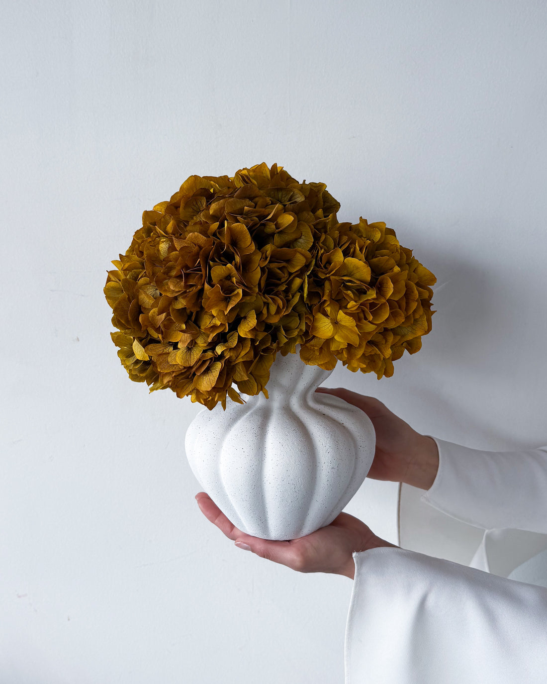 AURELIA PRESERVED AUTUMN HYDRANGEA IN WHITE VASE