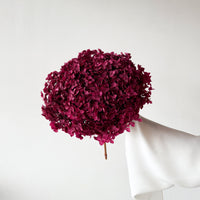 PRESERVED HYDRANGEA STEM I DEEP FUCHSIA I SMALL-LEAF