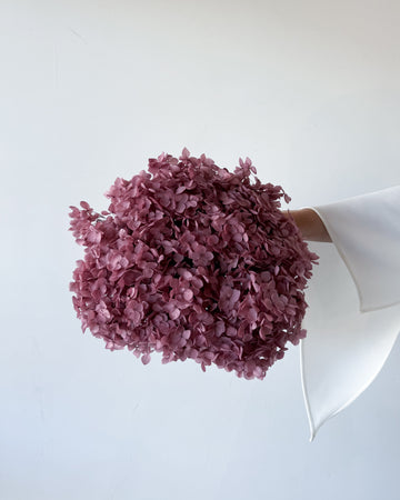 PRESERVED HYDRANGEA STEM I DEEP BLUSH | SMALL-LEAF