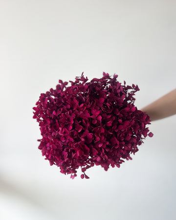 PRESERVED HYDRANGEA STEM | DEEP FUSCHIA | SMALL-LEAF