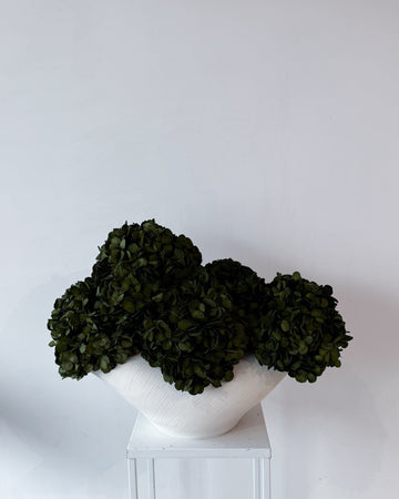 CHARLOTTE | OLIVE-GREEN PRESERVED HYDRANGEAS IN THEO VASE