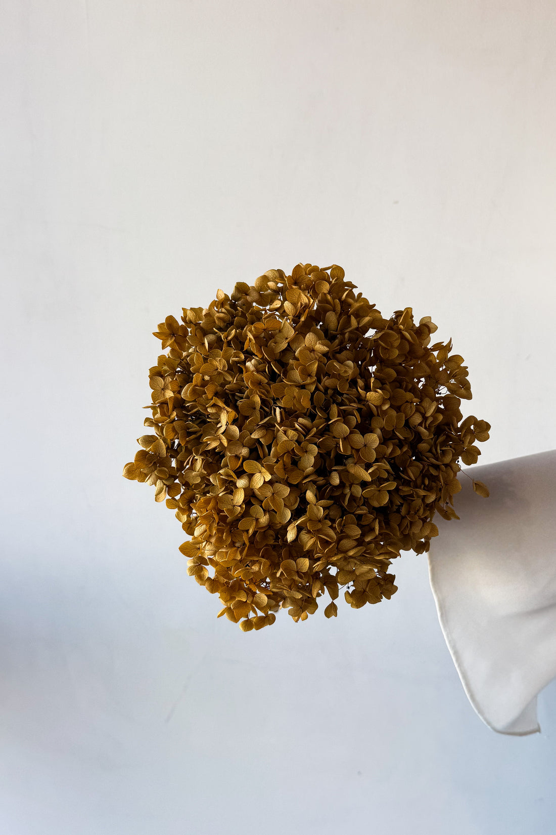 PRESERVED HYDRANGEA STEM | NATURAL | SMALL-LEAF