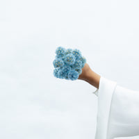 PRESERVED SCABIOSA | GREY BLUE