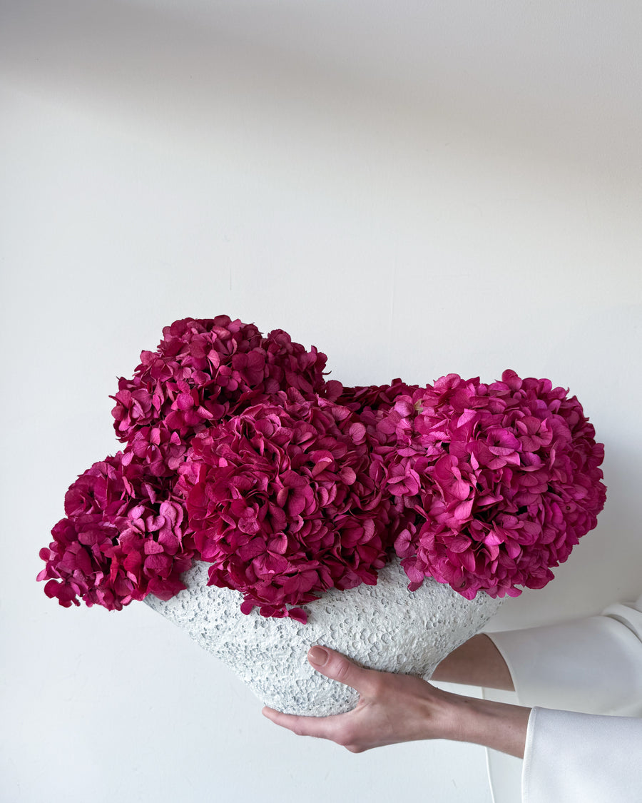 CHARLOTTE FUCHSIA PRESERVED HYDRANGEAS IN SALT CRUST COSSE VASE