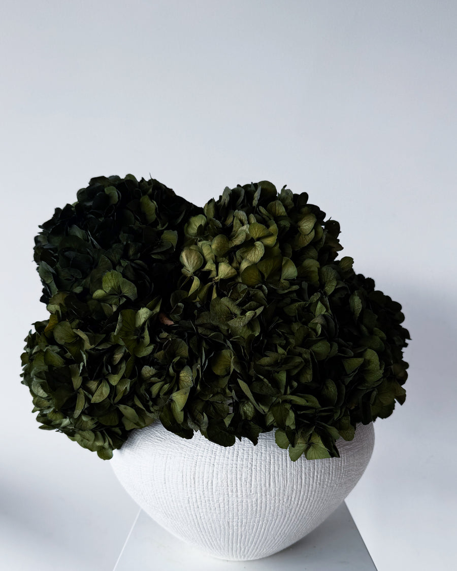 CHARLOTTE | OLIVE-GREEN PRESERVED HYDRANGEAS IN THEO VASE