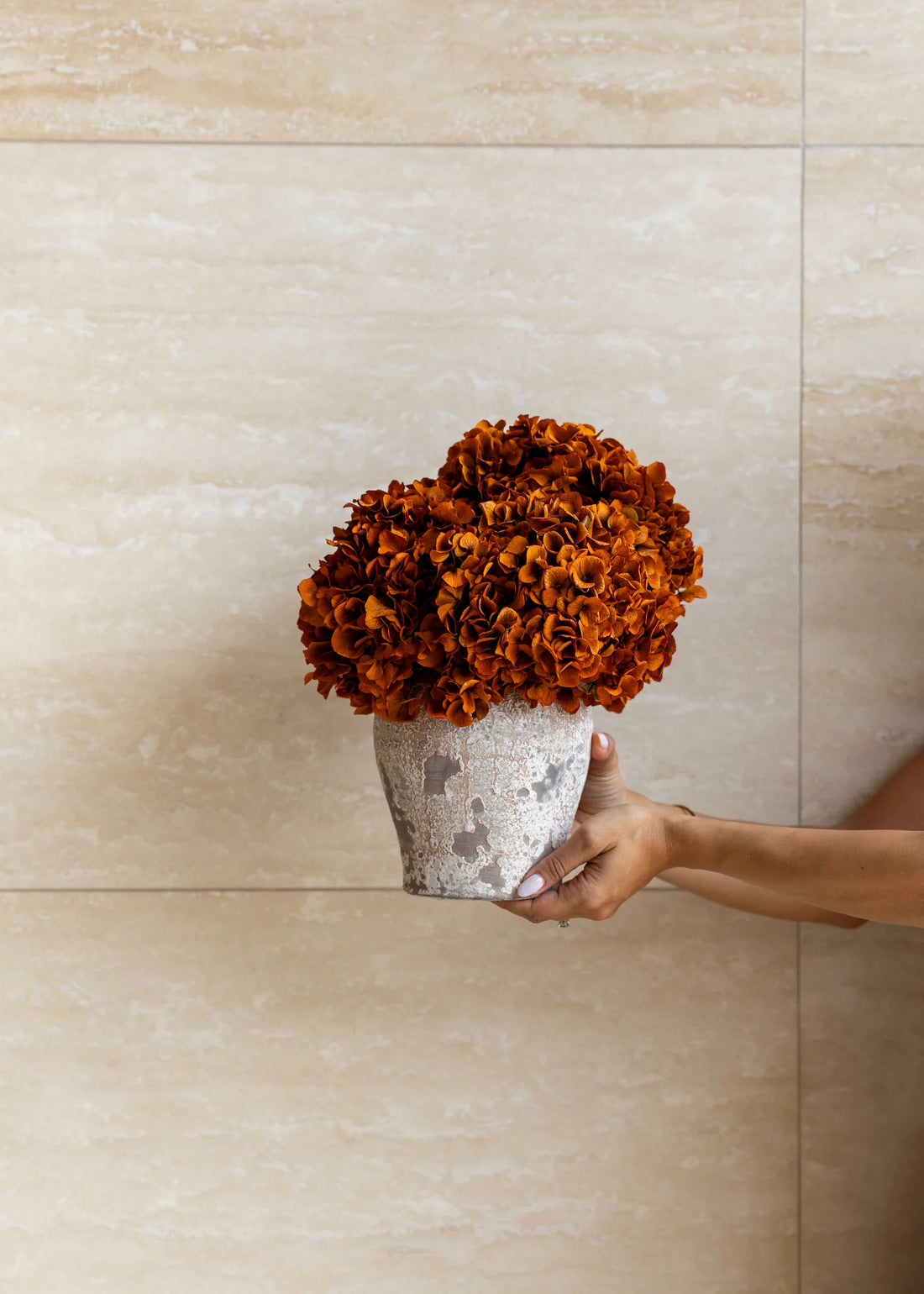 PRE ORDER MID JANUARY - LUNA PRESERVED HYDRANGEA ARRANGEMENT IN HERAMA POT