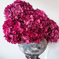 ALESSANDRA PRESERVED FLOWER ARRANGEMENT IN ASWAN VESSEL
