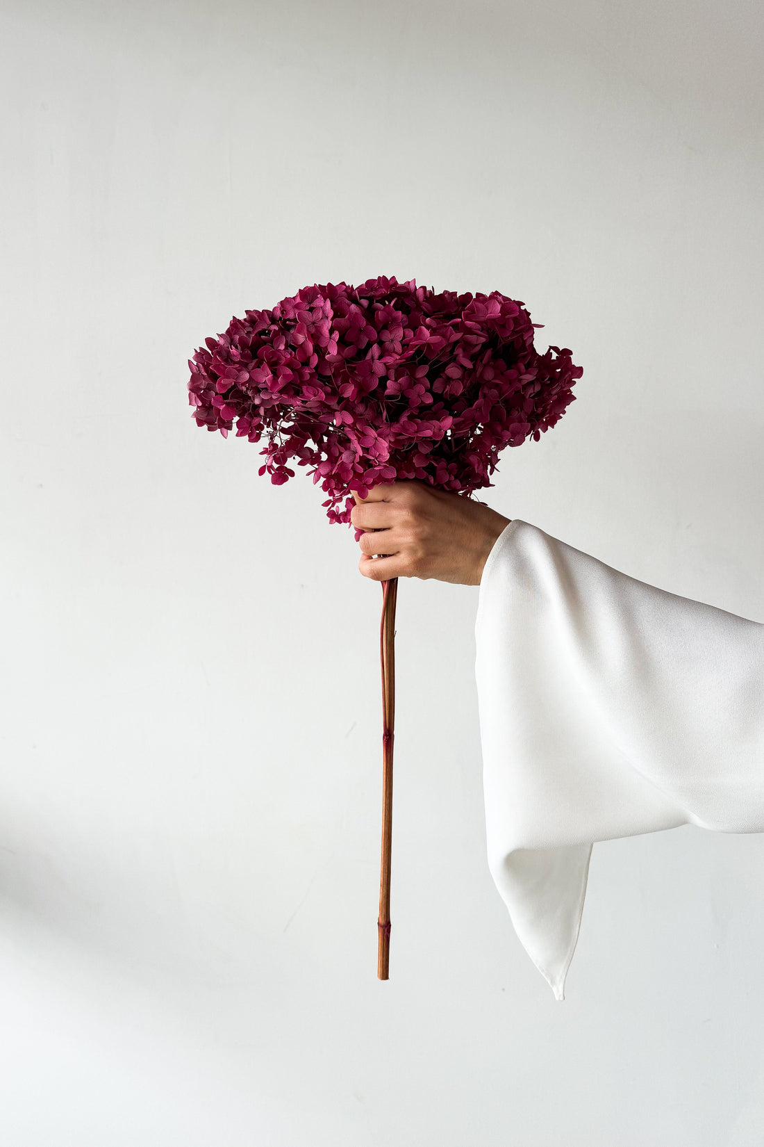 PRESERVED HYDRANGEA STEM I DEEP FUCHSIA I SMALL-LEAF