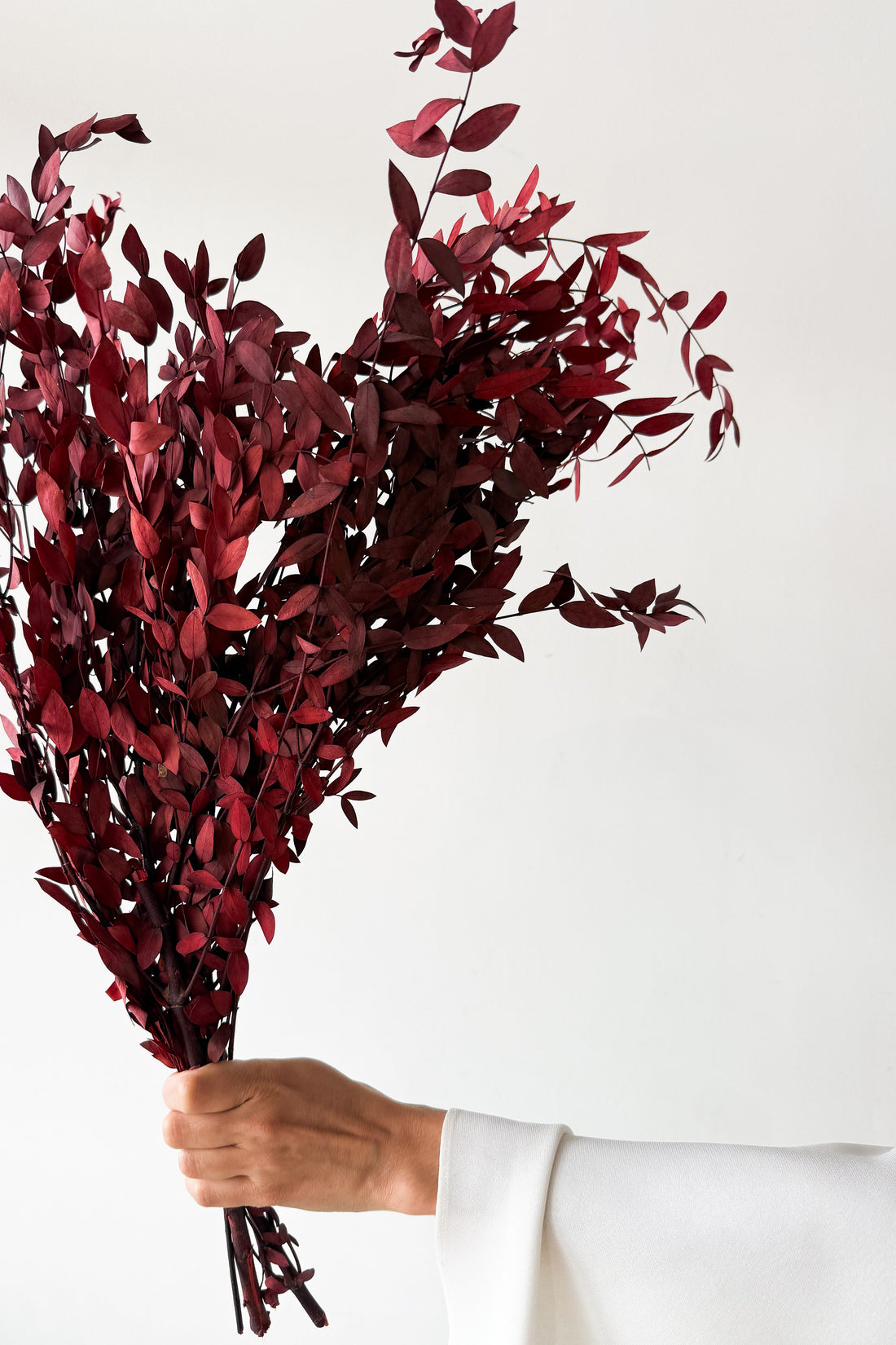 PRESERVED SMALL-LEAF GUM | MARONE-RED