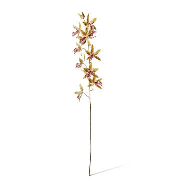 ORCHID ONCIDIUM STEM | GREEN/BURGUNDY | SOFT-TOUCH